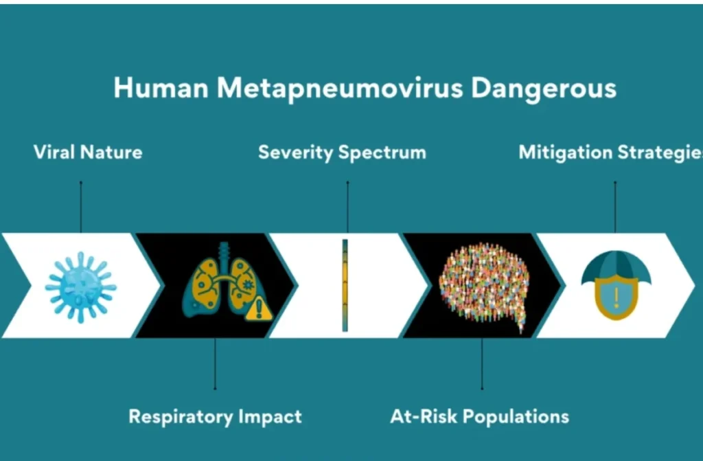 Is Human Metapneumovirus Dangerous