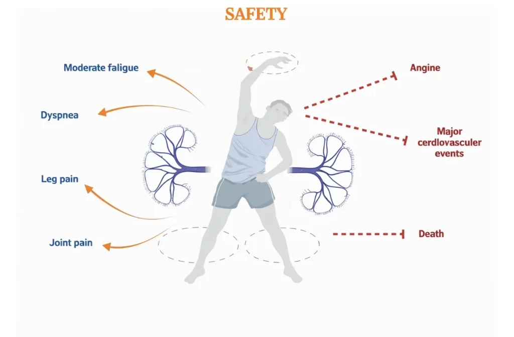 best exercises for kidney health